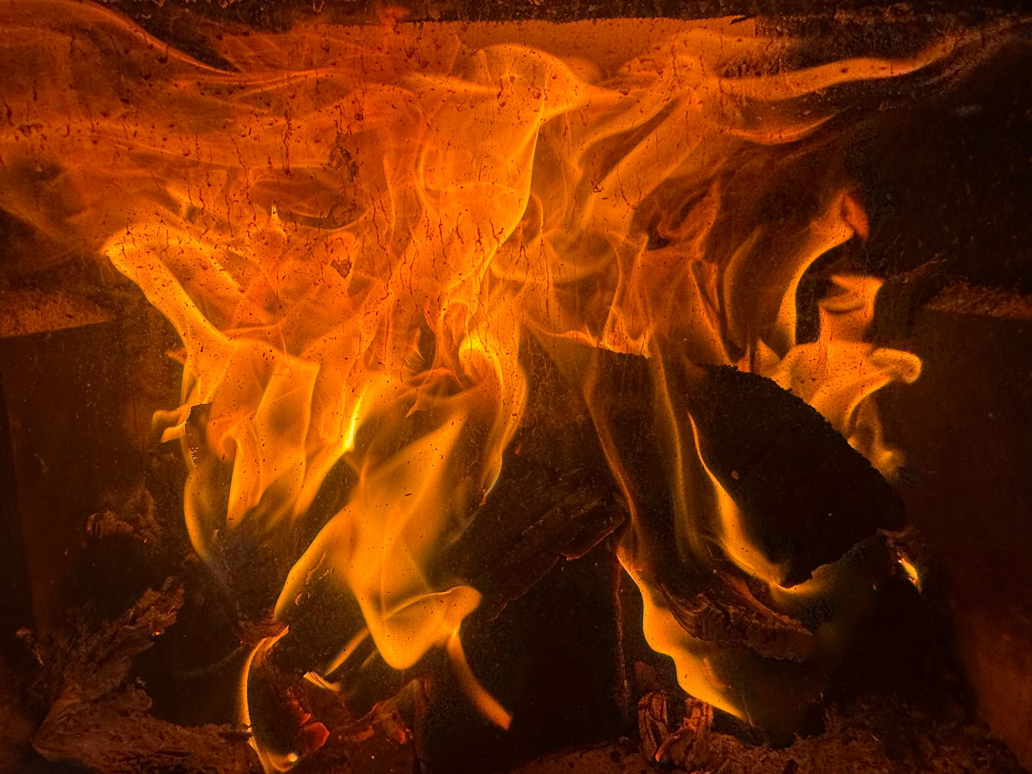 Firewood 1