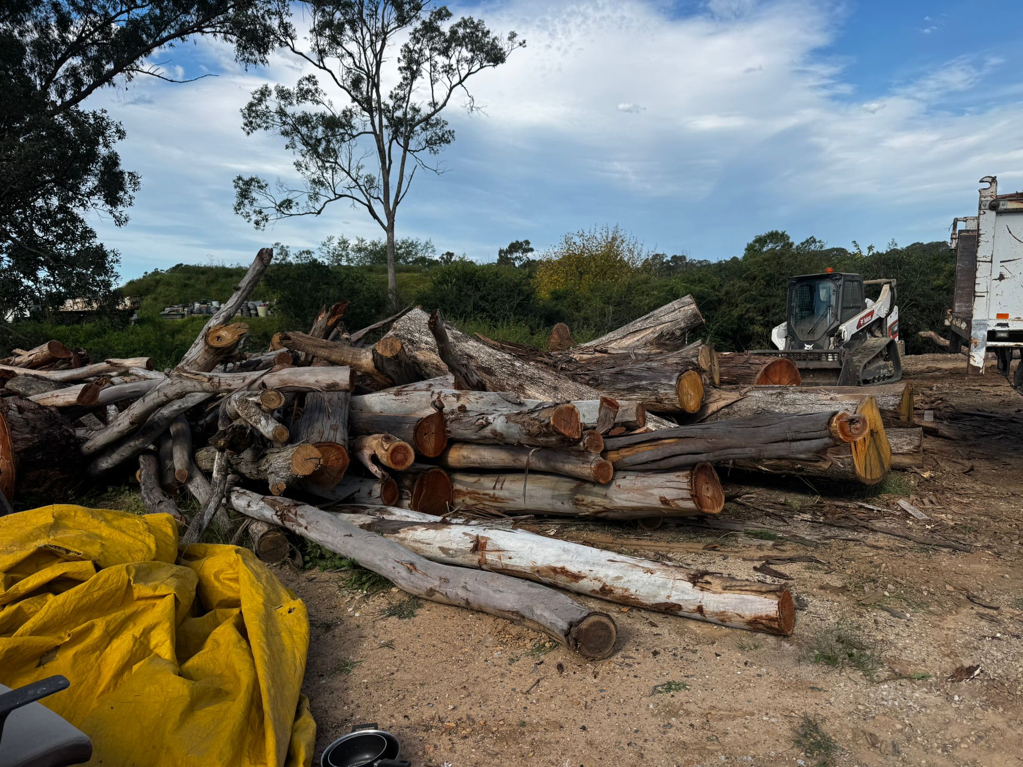 Firewood 15