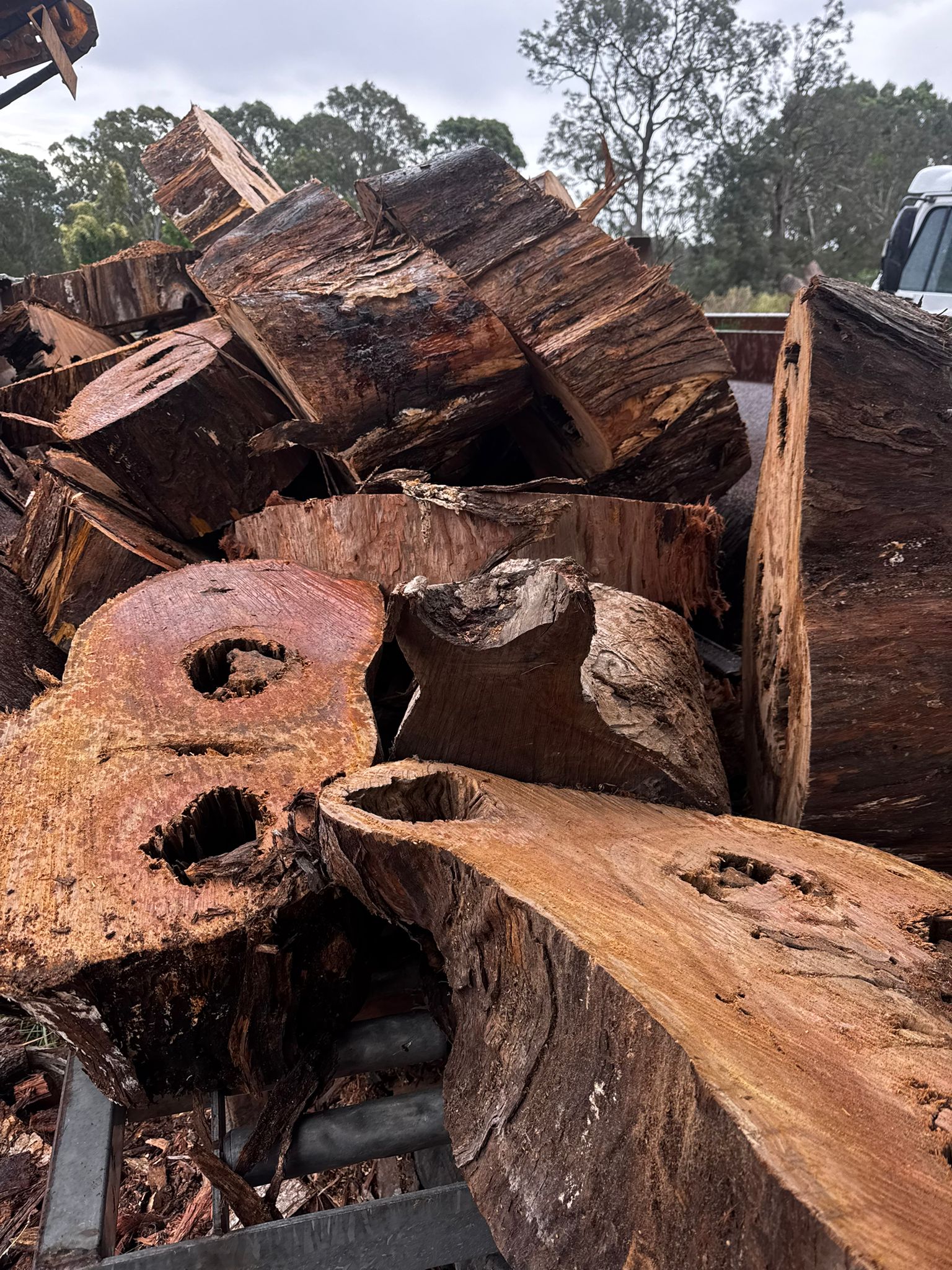 Firewood 17
