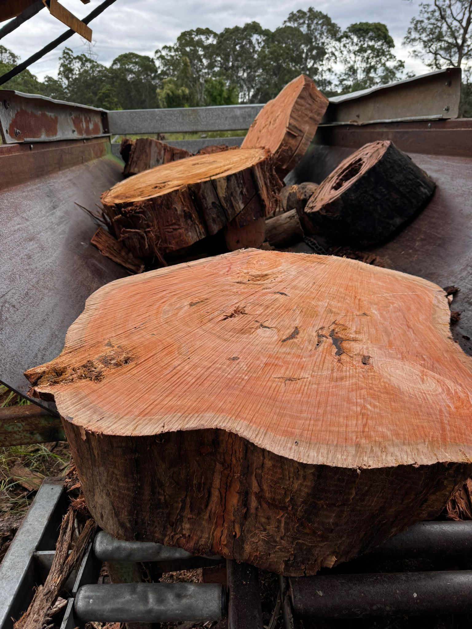 Firewood 18