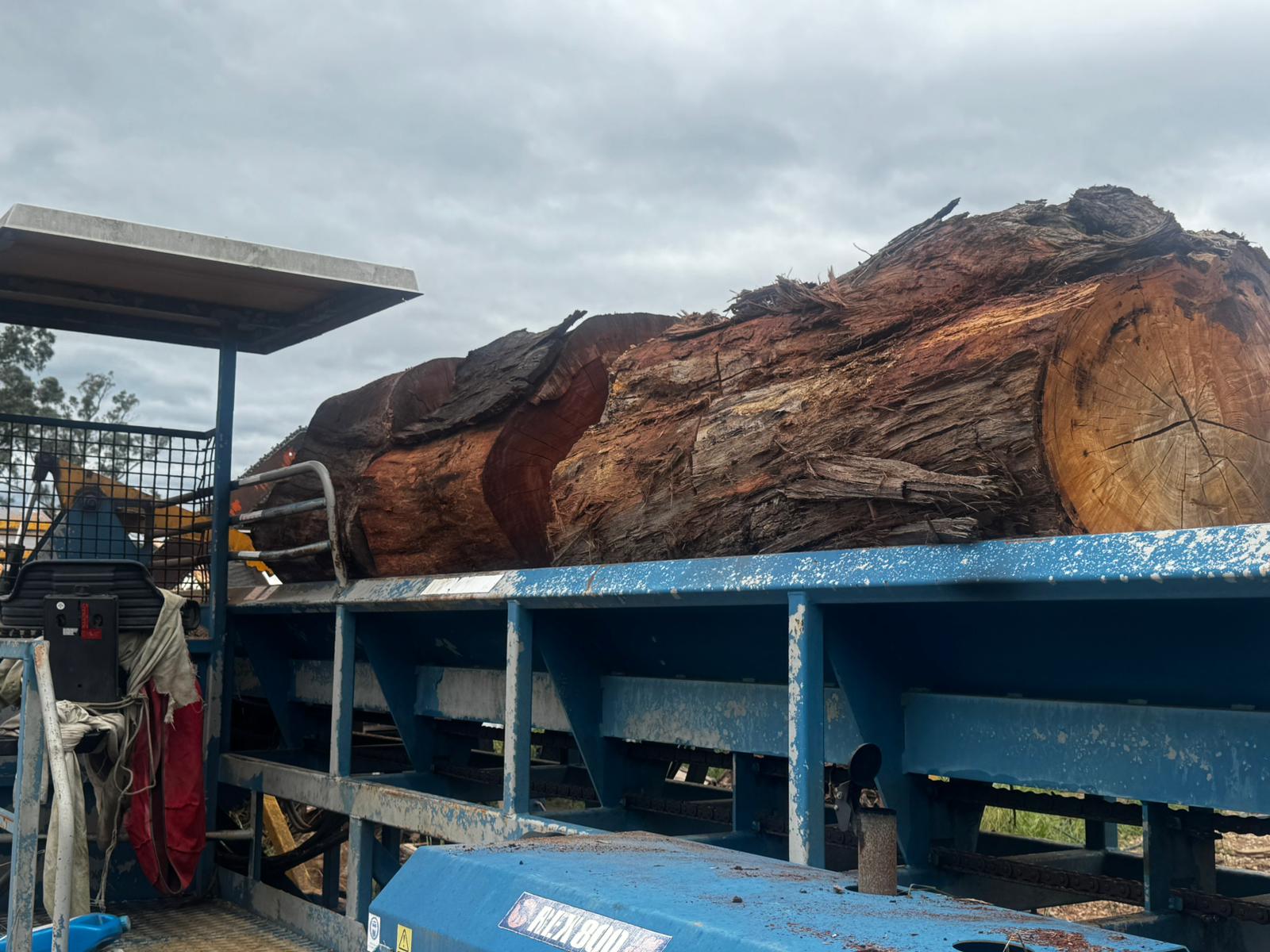 Firewood 21